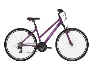 ballistic-coaster-w-bike-purple-45cm