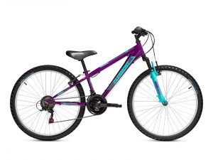 clermont-tribal-26-bike-18-speed-purple-31cm